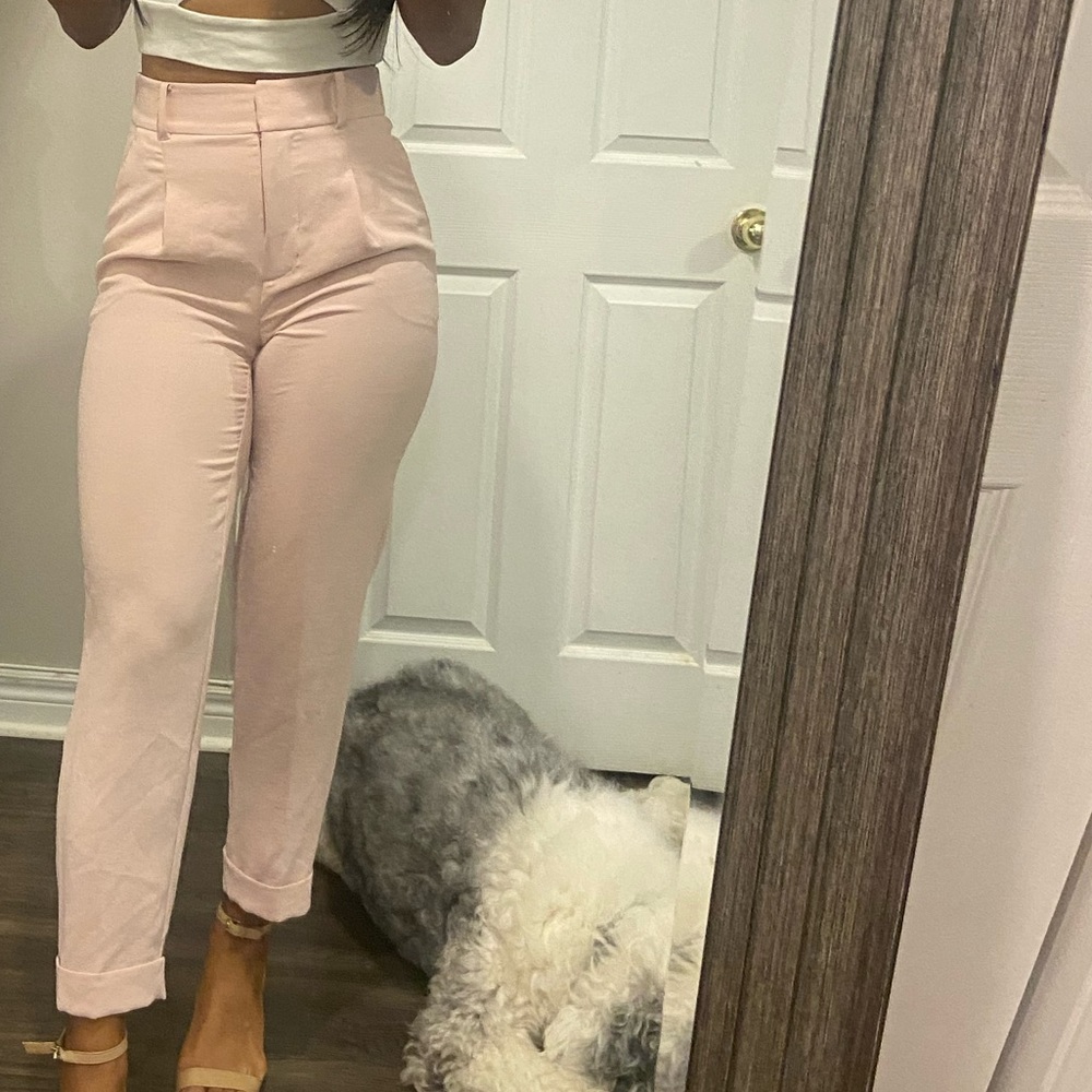 Wilfred Dashwood Pants size 0 - worn once